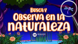 Eventos-de-bienestar-en-la-naturaleza-Conectando-con-el-entorno-natural-1