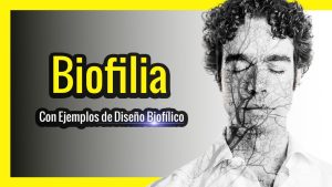 La-importancia-del-diseno-biofilico-en-la-creacion-de-eventos-eco-amigables-1
