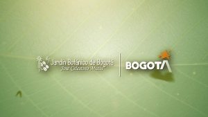 La-magia-de-los-eventos-en-jardines-botanicos-Union-entre-naturaleza-y-cultura-2