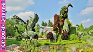 La-magia-de-los-eventos-en-jardines-botanicos-Union-entre-naturaleza-y-cultura-3