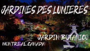 La-magia-de-los-eventos-en-jardines-botanicos-Union-entre-naturaleza-y-cultura