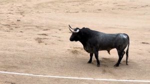 ferias en españa mayo 2024