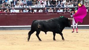 ferias en españa octubre 2024
