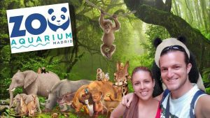 eventos zoo madrid