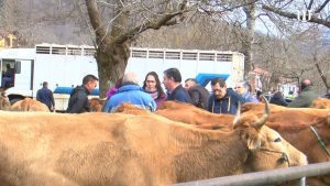 ferias ganaderas españa 2024