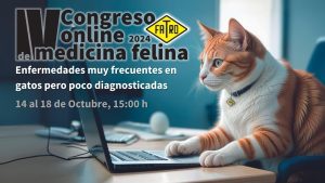 congreso medicina felina 2024