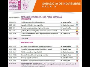 congreso medicina perinatal
