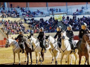local eventos plaza de toros alcala de henares