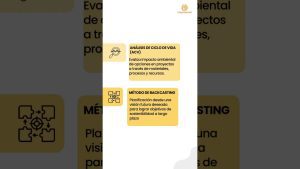 Estrategias para gestionar la sostenibilidad en eventos de gran escala