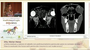 congreso medicina y cirugia equina 2024
