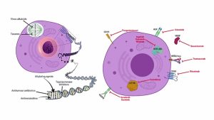 congreso medicina peru 2024